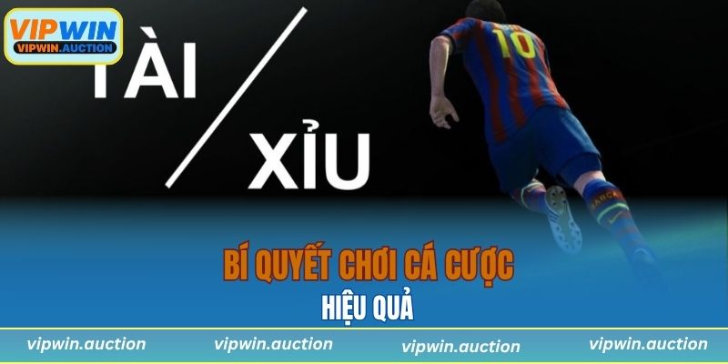 Tài Xỉu Bóng Đá Là Gì? Cách Chơi, Kinh Nghiệm Từ VIPWIN