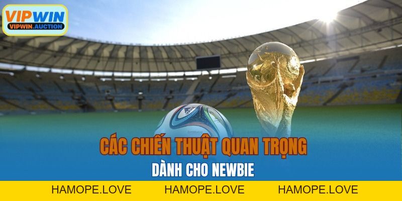 Tỷ Lệ Kèo Bóng Đá: Hiểu Đúng, Tăng Cơ Hội Chiến Thắng
