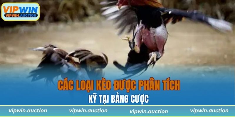 Kèo Đá Gà - Hình Thức Cá Cược Hấp Dẫn Chỉ Có Tại VIPWIN