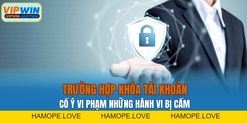 Điều Khoản Điều Kiện VIPWIN - Cần Biết Gì Trước Khi Chơi?