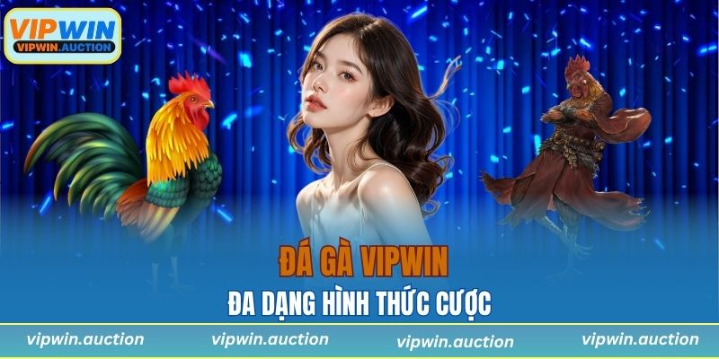 Đá Gà VIPWIN – Trận Đấu Mỗi Giây, Phần Thưởng Mỗi Phút