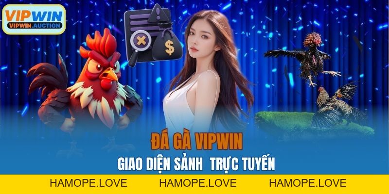 Đá Gà VIPWIN – Trận Đấu Mỗi Giây, Phần Thưởng Mỗi Phút