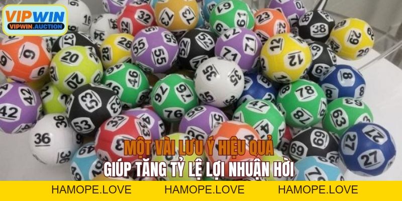 Bạch Thủ Lô - Hướng Dẫn Soi Cầu Số Đề Luôn Chính Xác