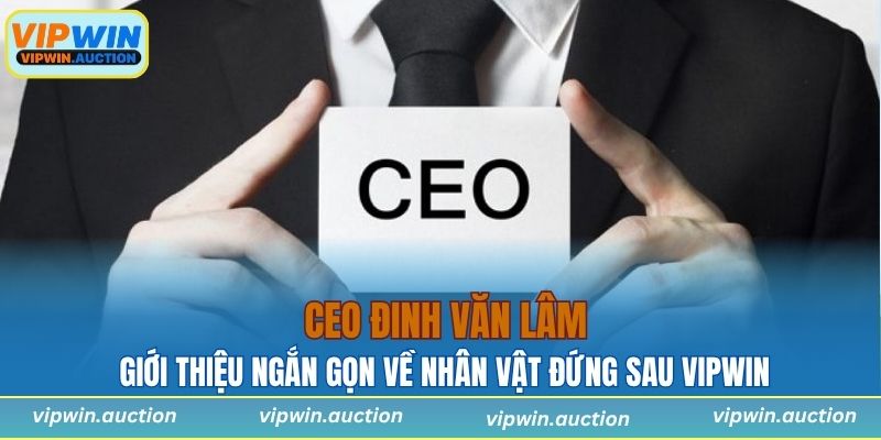 Ceo Đinh Văn Lâm Và Hành Trình Gây Dựng Nhà Cái VIPWIN