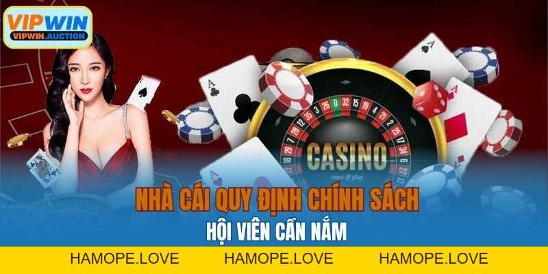Chính Sách Bảo Mật VIPWIN - An Tâm Cá Cược Cùng Nhà Cái