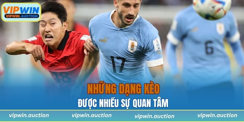 Kèo Chấp Châu Á - Hướng Dẫn Chi Tiết Dành Cho Tân Thủ