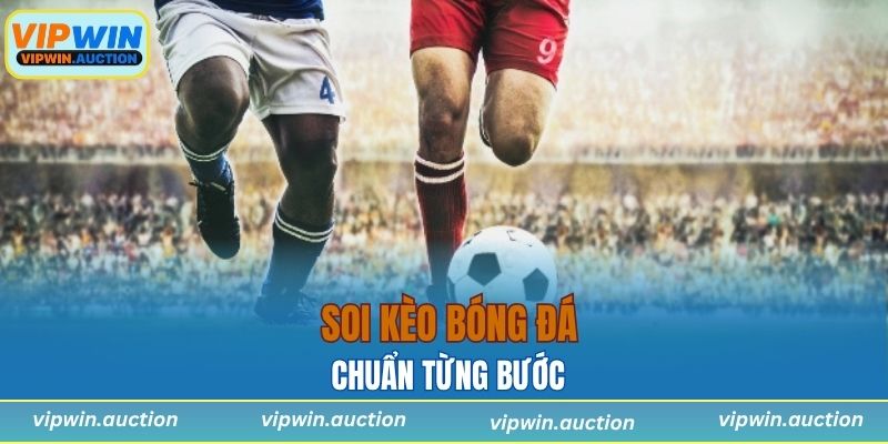 Kèo Chấp Châu Á - Hướng Dẫn Chi Tiết Dành Cho Tân Thủ