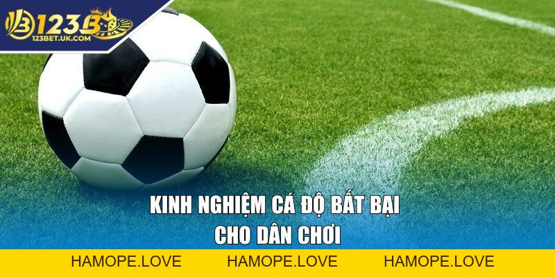 Cá Cược Bóng Đá 123BET Bứt Phá Kèo Hot Dành Thắng Đậm
