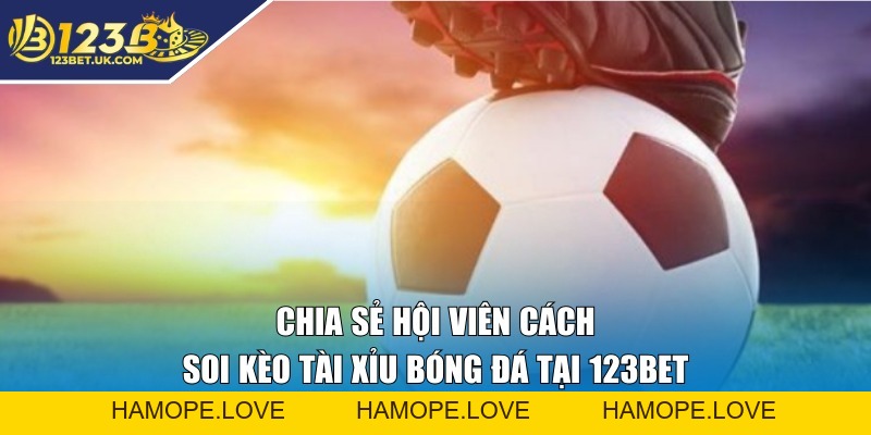 123BET SALU | Nhà Cái Hàng Đầu Châu Á - Sân Chơi Uy Tín Số #1